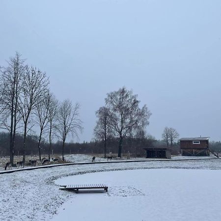Arciau Gamtos Anyksciai Kurkliai Exterior foto