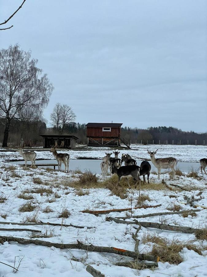 Arciau Gamtos Anyksciai Kurkliai Exterior foto